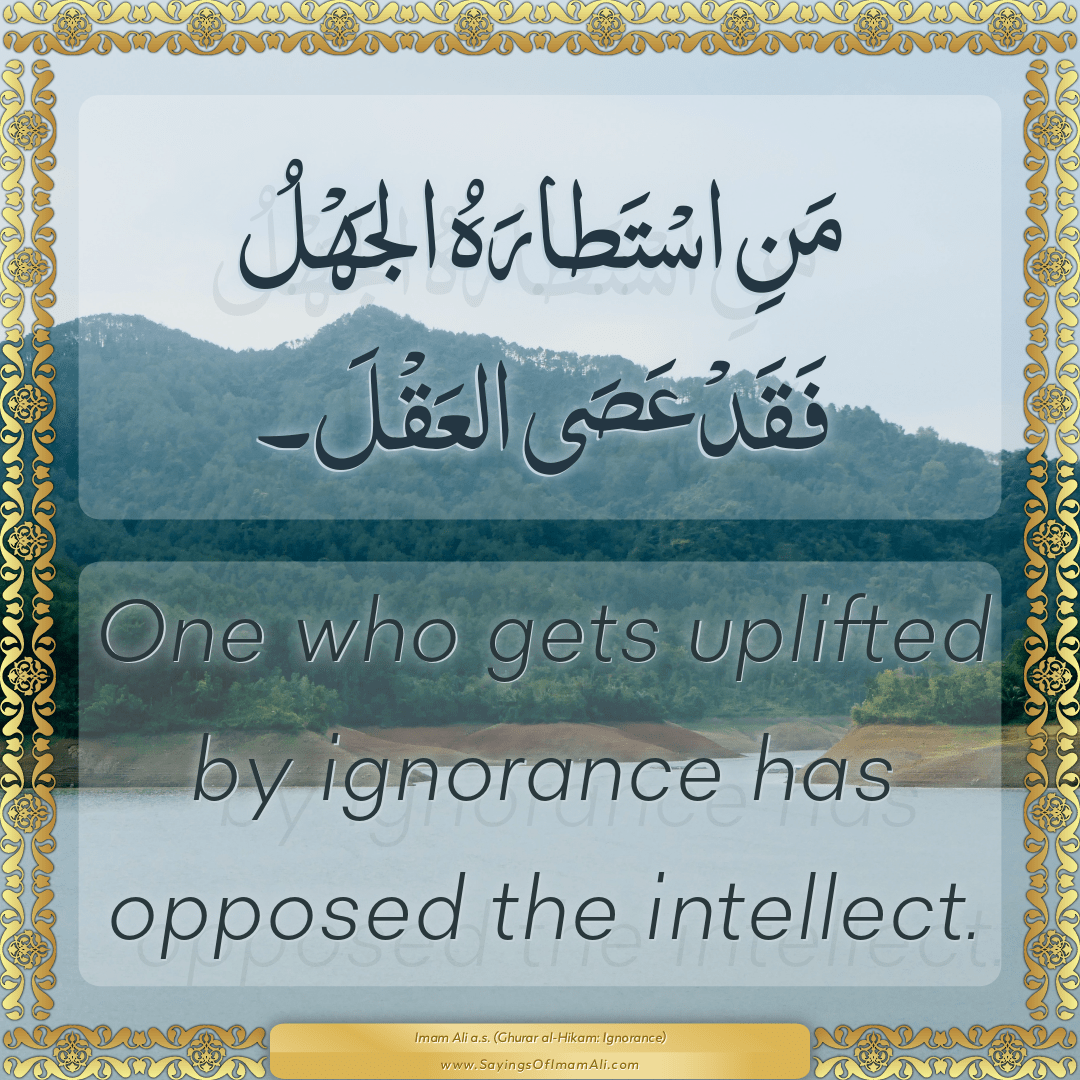One who gets uplifted by ignorance has opposed the intellect.